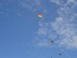 Fanoe_2013_127