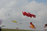 Fanoe_2013_137