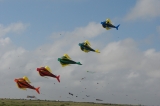 Fanoe_2013_138