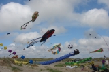 Fanoe_2013_142