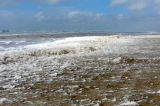 Fanoe_2013_238