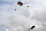 Fanoe_2013_244