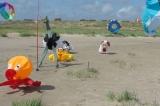 Fanoe_2013_246