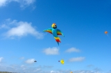 Fanoe_2013_247