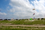 Fanoe_2013_248