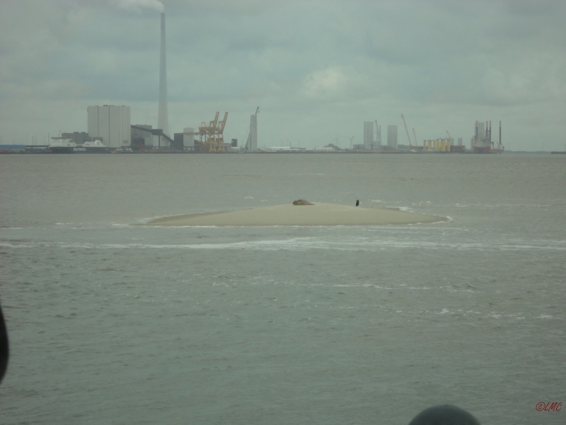 Fanoe_2013_159