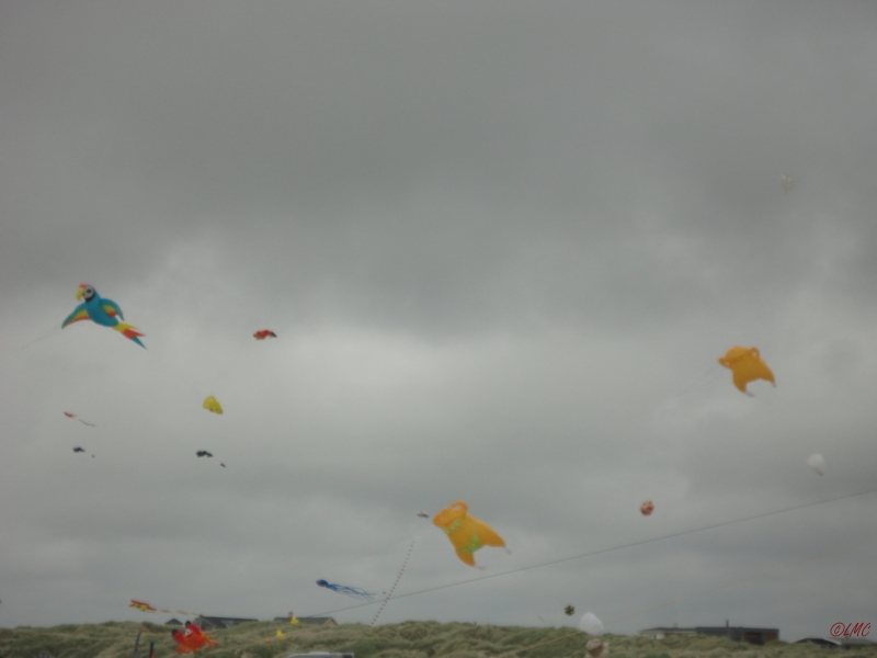 Fanoe_2013_163