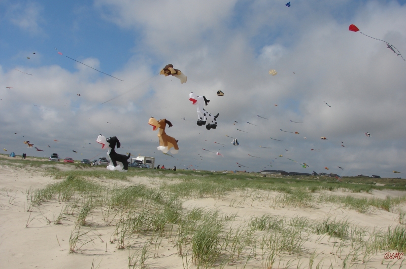 Fanoe_2013_165