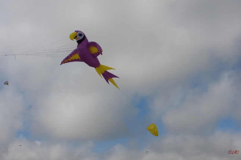 Fanoe_2013_166
