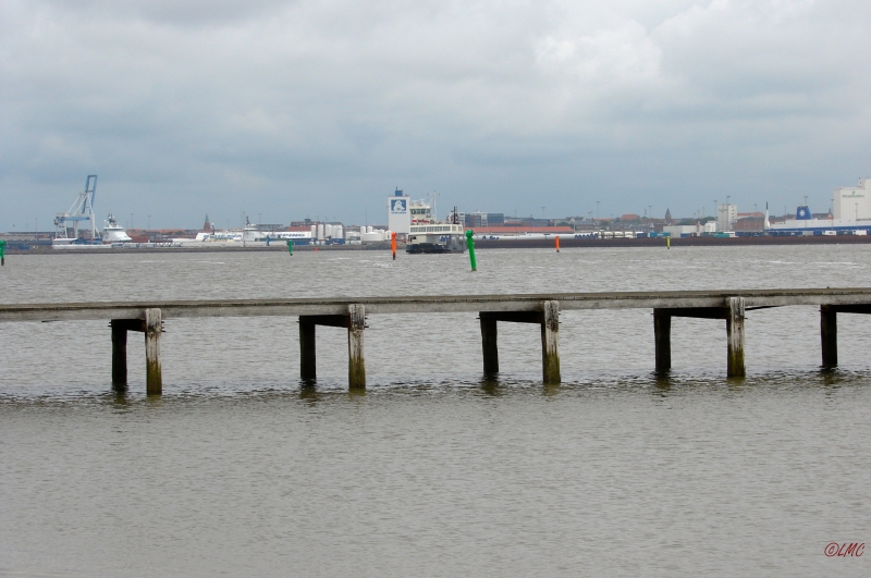Fanoe_2013_255