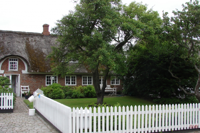 Fanoe_2013_261