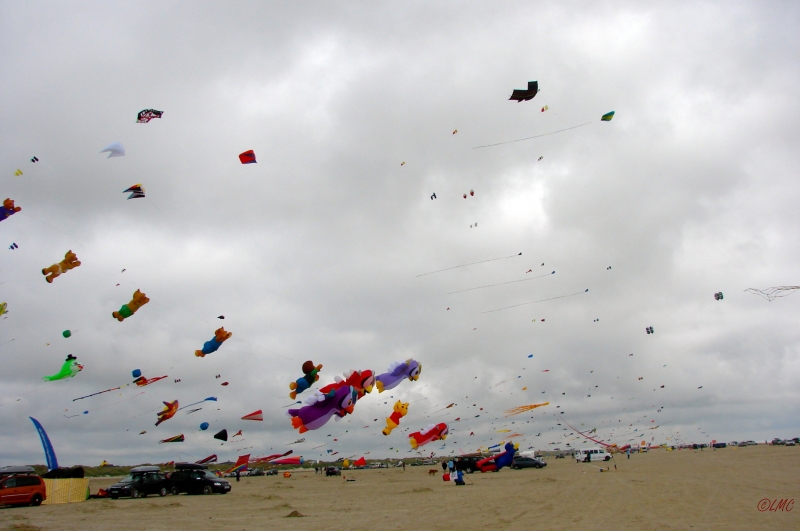 Fanoe_2013_264