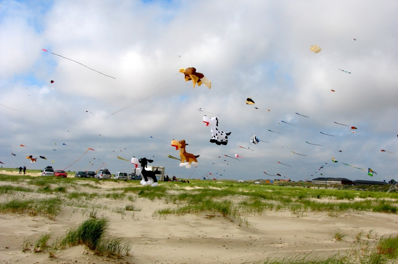 Fanoe_2013_270