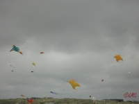 Fanoe_2013_163