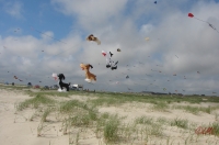 Fanoe_2013_165