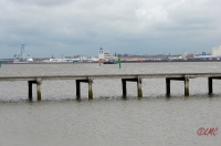 Fanoe_2013_255
