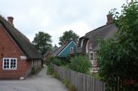 Fanoe_2013_259