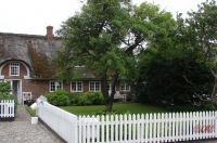 Fanoe_2013_261