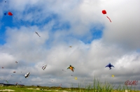 Fanoe_2013_271