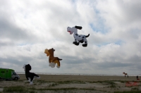 Fanoe_2013_272