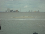 Fanoe_2013_159