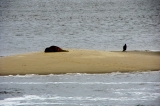 Fanoe_2013_258