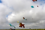 Fanoe_2013_269