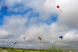 Fanoe_2013_271