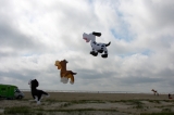 Fanoe_2013_272