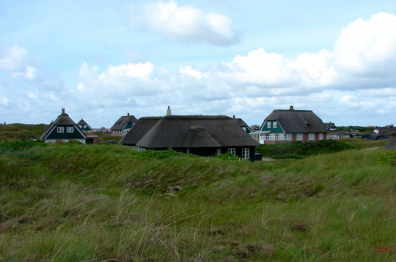 Fanoe_2013_276