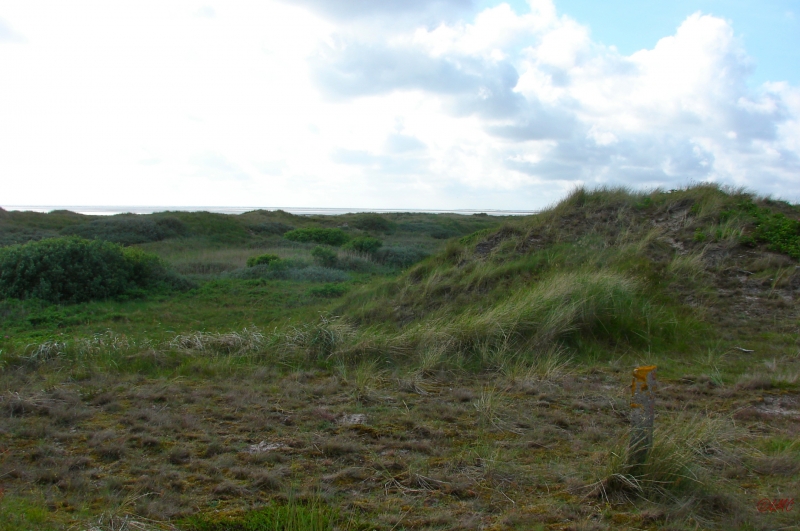 Fanoe_2013_282