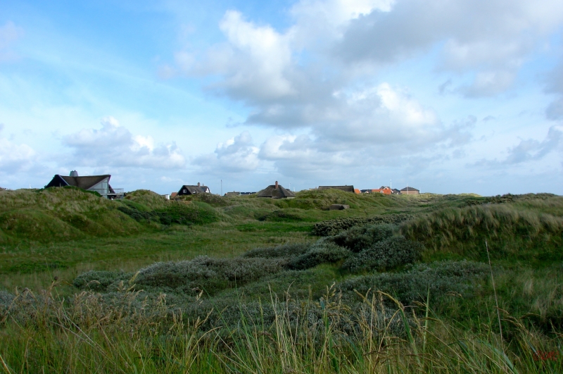 Fanoe_2013_283