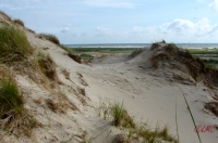 Fanoe_2013_279