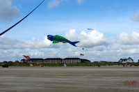 Fanoe_2013_281