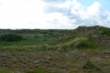 Fanoe_2013_282
