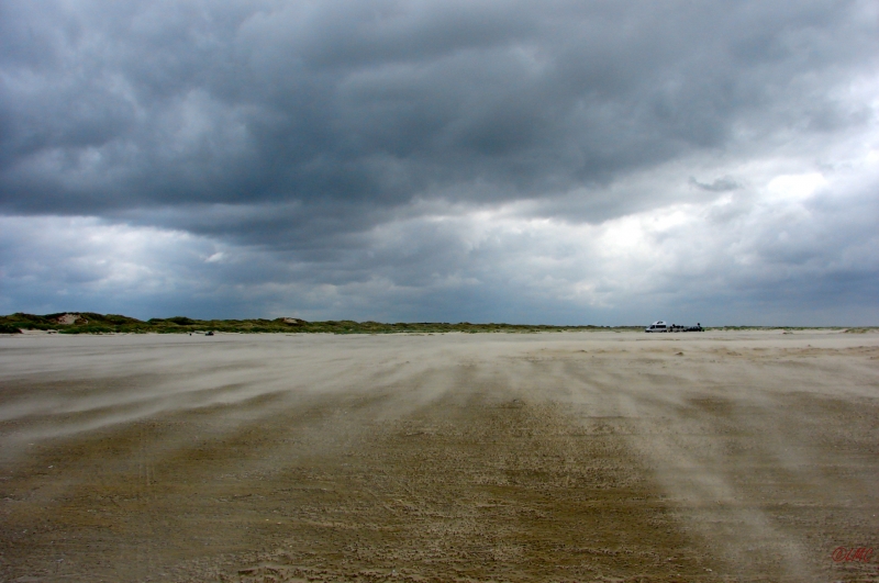 Fanoe_2013_285