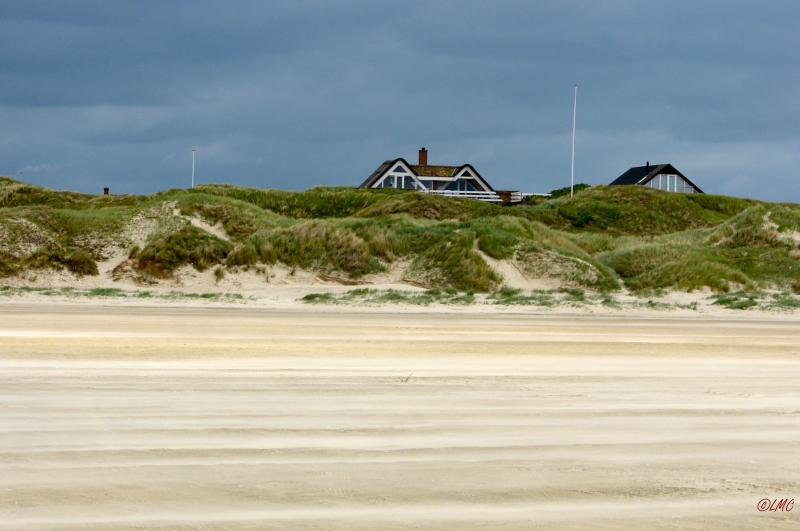 Fanoe_2013_286