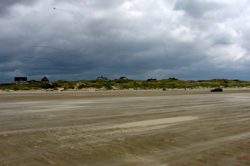 Fanoe_2013_287