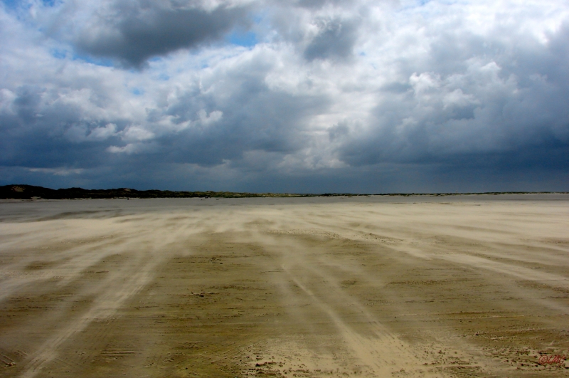 Fanoe_2013_288