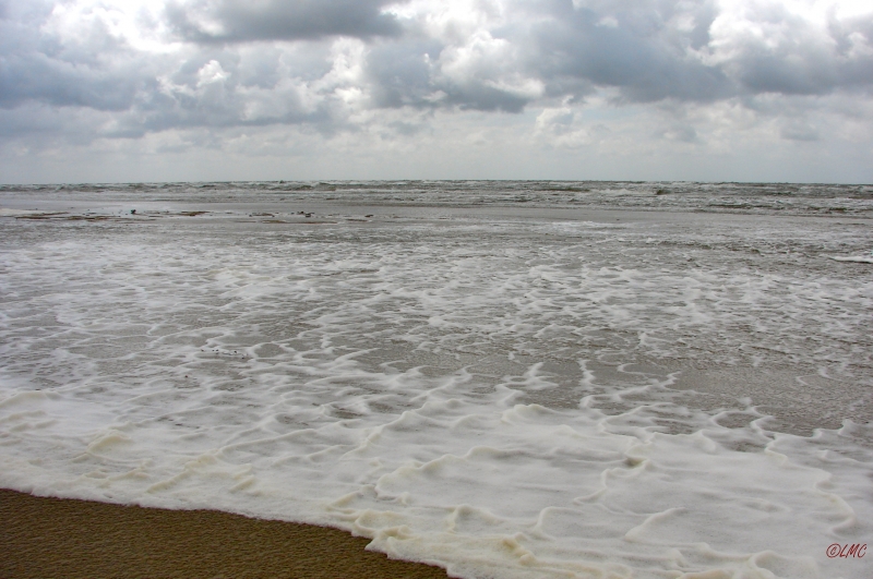 Fanoe_2013_291