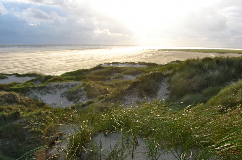 Fanoe_2013_292