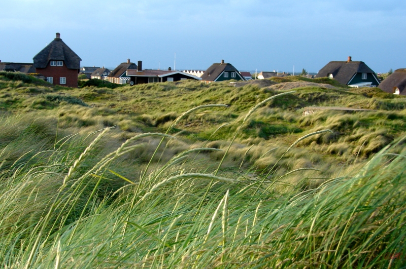 Fanoe_2013_293