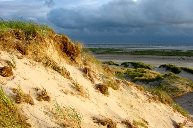 Fanoe_2013_294