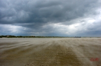 Fanoe_2013_285