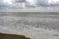 Fanoe_2013_291