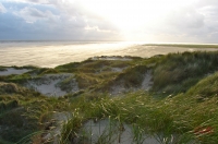 Fanoe_2013_292