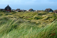 Fanoe_2013_293