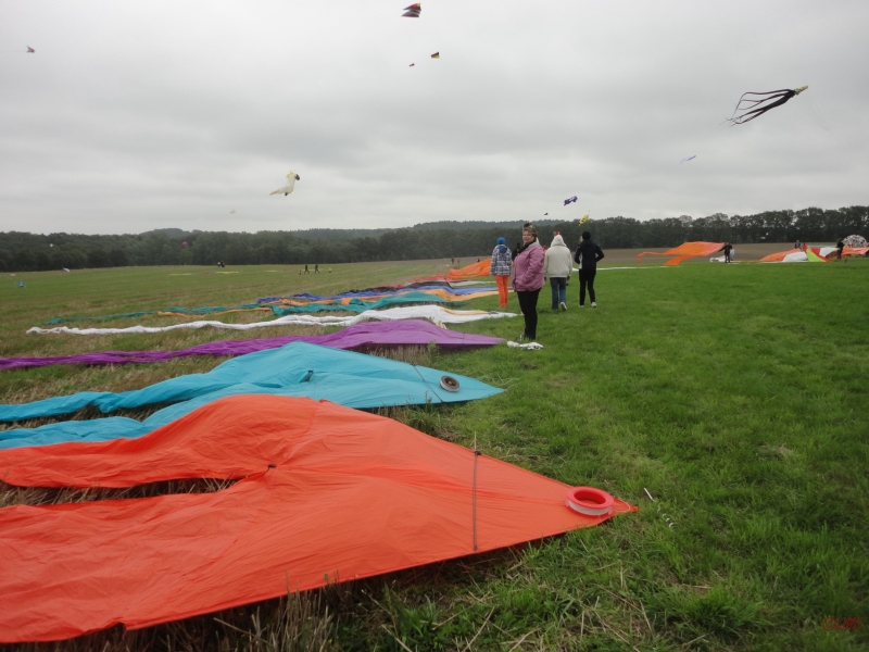 Ollsen_2013_001