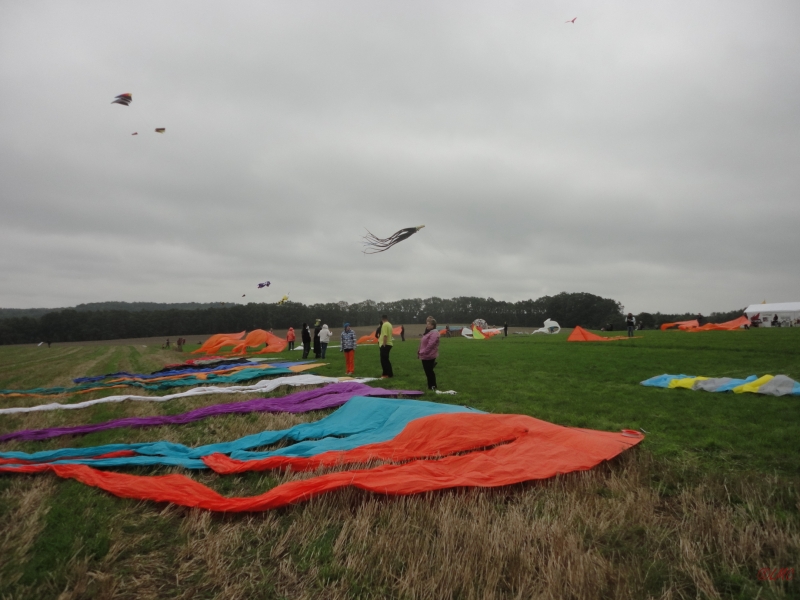 Ollsen_2013_002