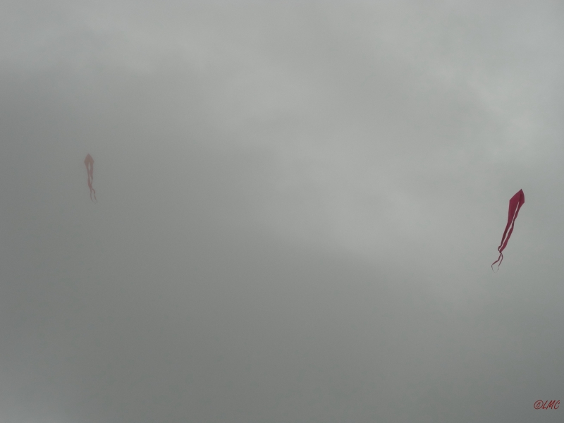 Ollsen_2013_003